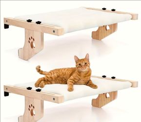 Cat bed brand new