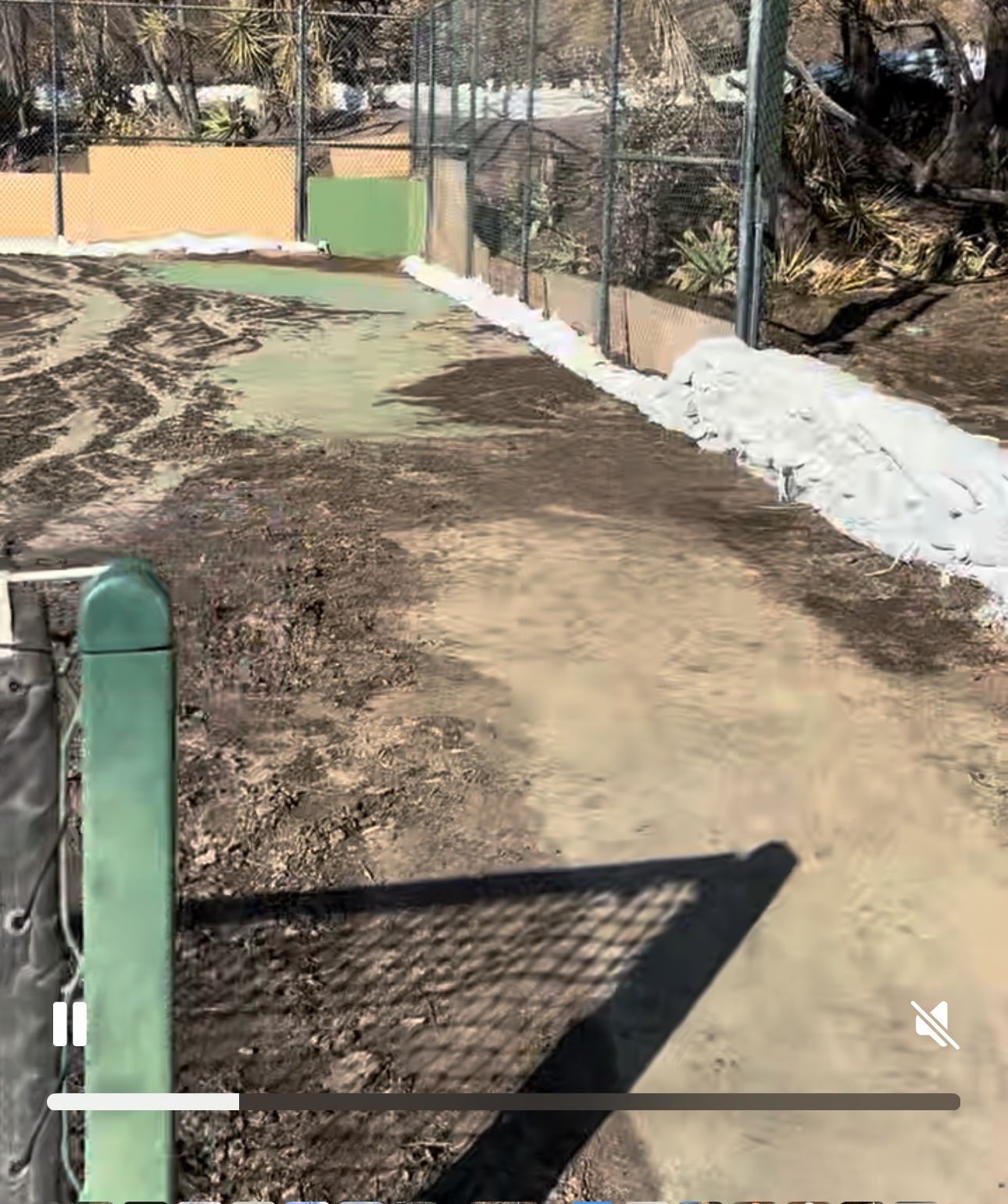 Free Sandbags