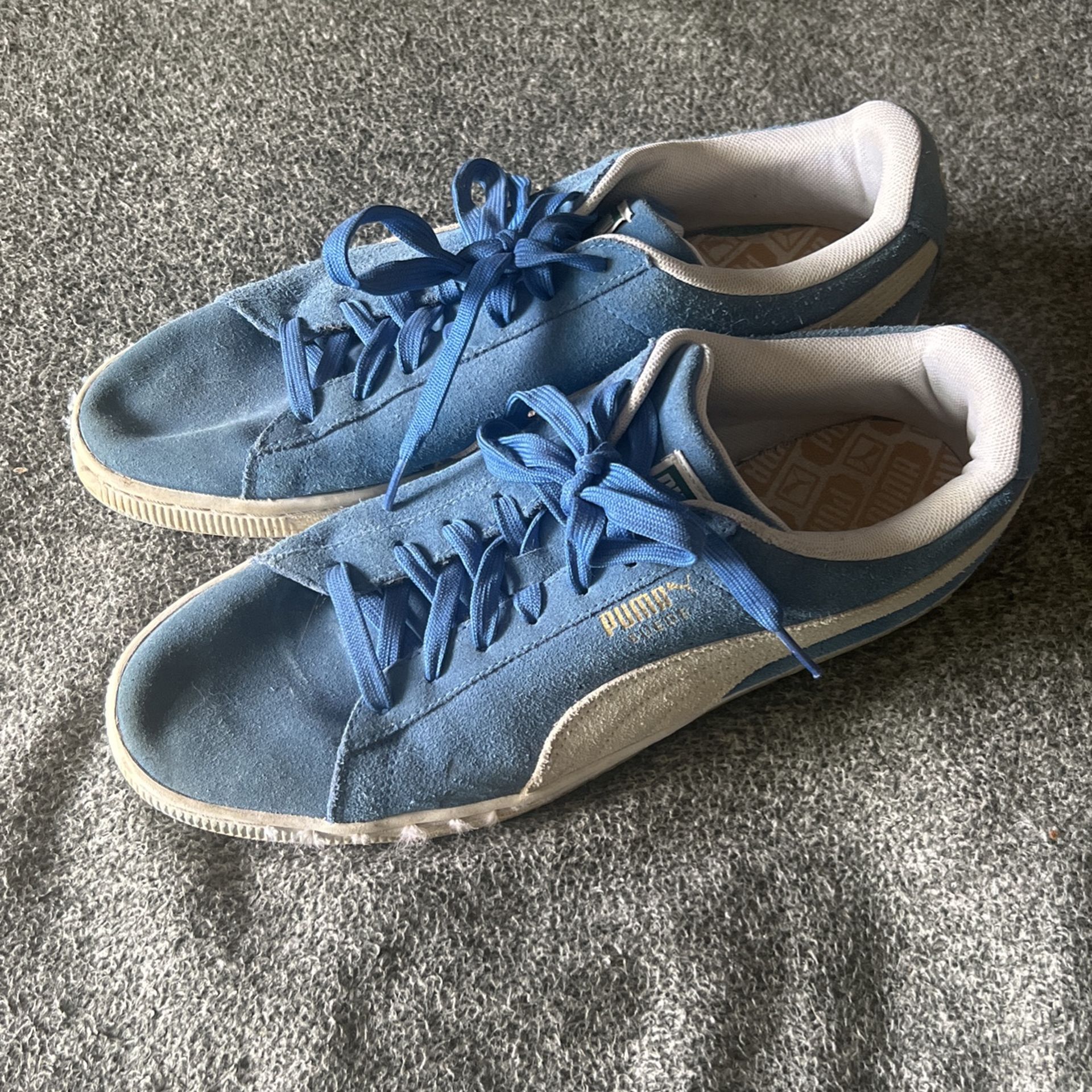 Puma Suede Blue Shoes