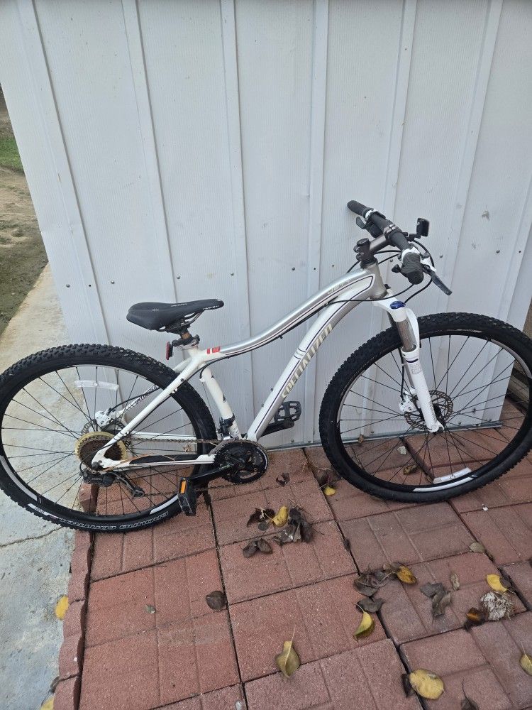 Specialized Mountain Bike Used