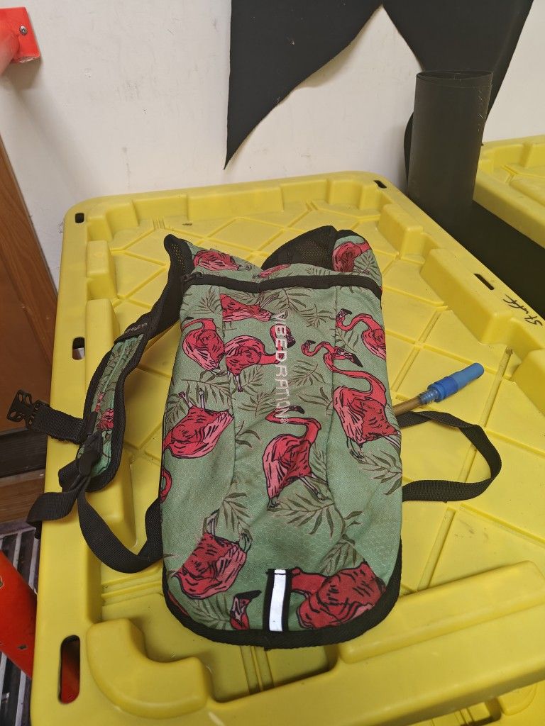 Hydration Backpack