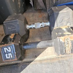 45 LBS Single Dumbbell With 25 Lbs Single Dumbbell 