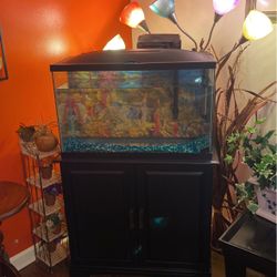 Fish Tank And Cabinet 