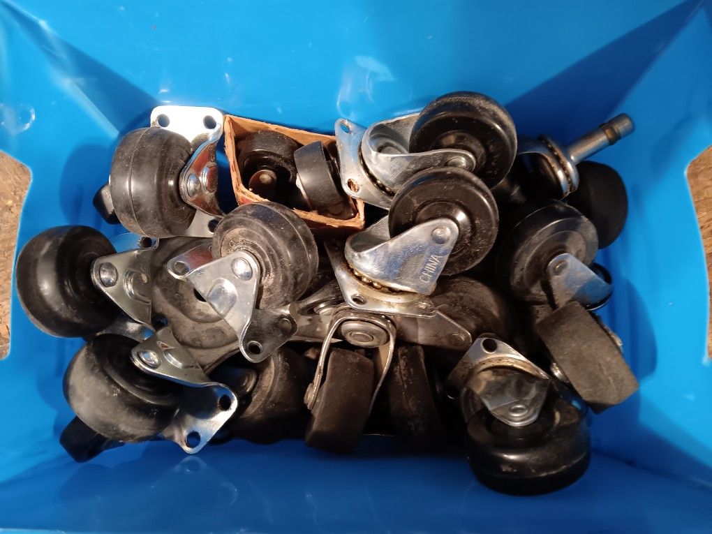 Asserted Caster Wheels