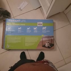 2 Door Dog Training Crate