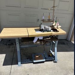 Wilcox & Gibbs Sewing Machine