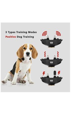 Peteme dog training clearance collar