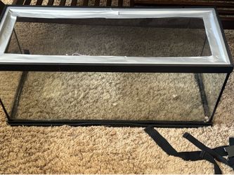 Terrarium Starter Tank
