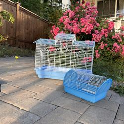 bird house & carrier