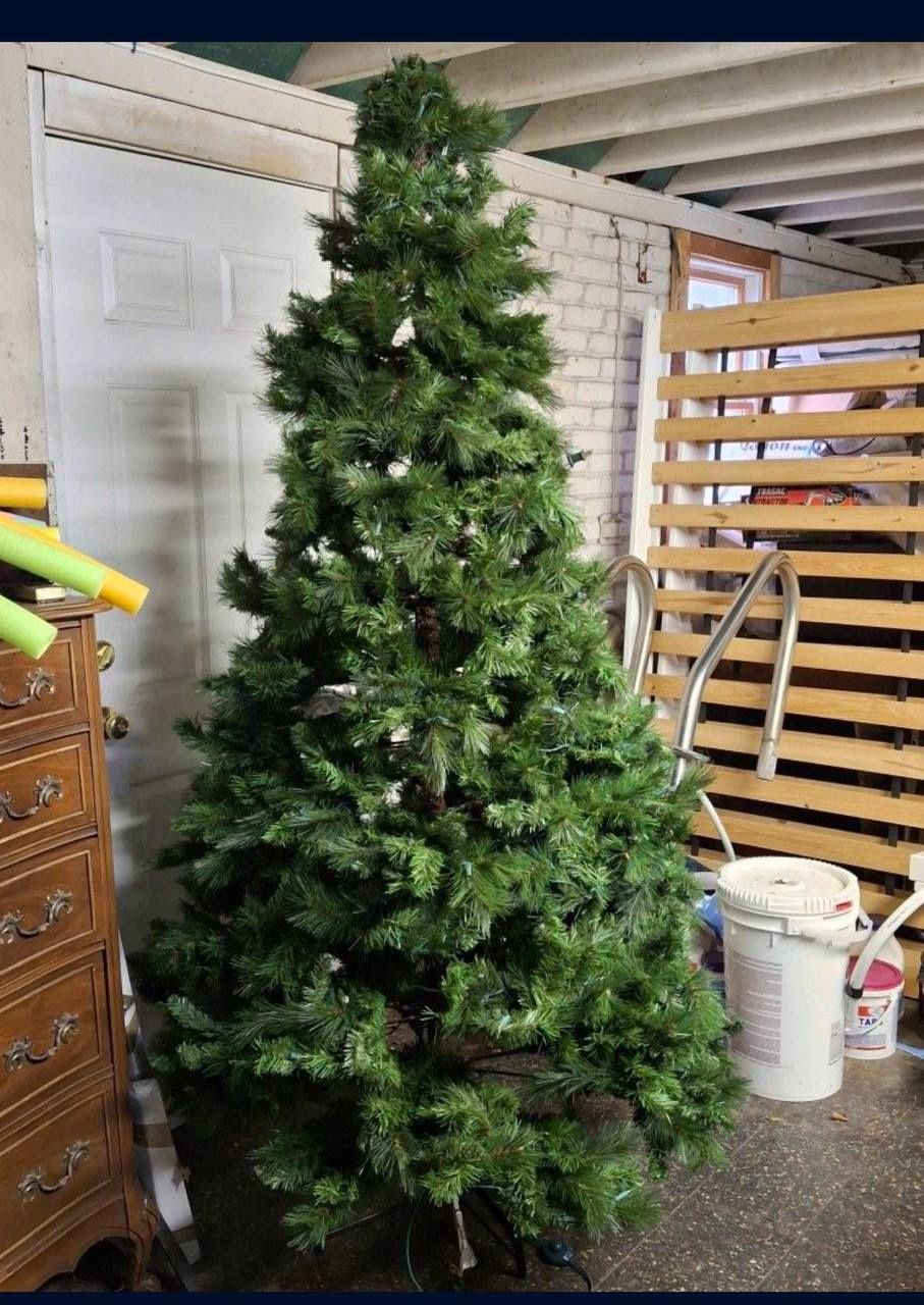 Xmas Tree 4 Sale Need To Go ASAP!