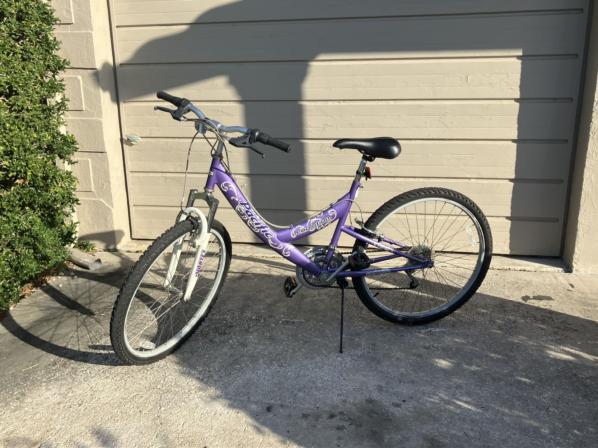 Pacific Evolution Mountain Sport Bike