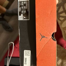 Playoff Jordan 12