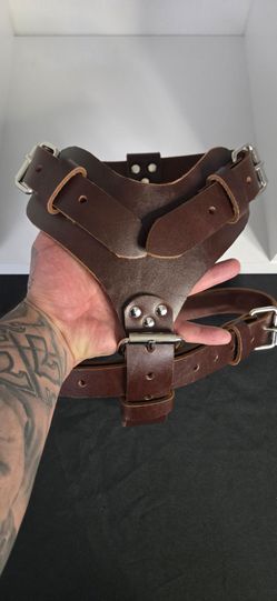 Dog harness