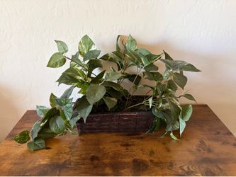Fake/artificial Pothos Plant in basket realistic looking