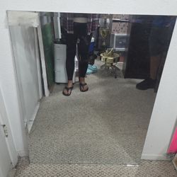 Bathroom Mirror 29.5 Wide X 39.5 Tall