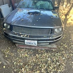 2006 Ford Mustang