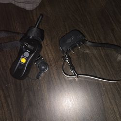 Electronic Dog Training Collars
