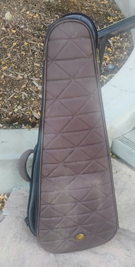Guitar Case 38 Length And 16 Wide