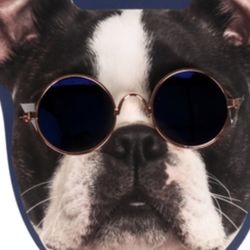 Dog Glasses