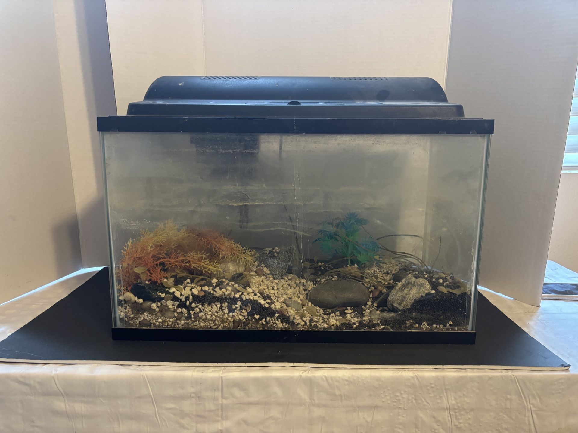 10 Gallon Aquarium
