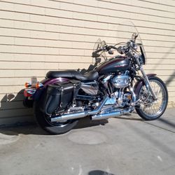 2005 Harley Davidson Sportster 1200