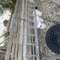 Louisville Extension Ladder