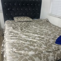 New Bed 