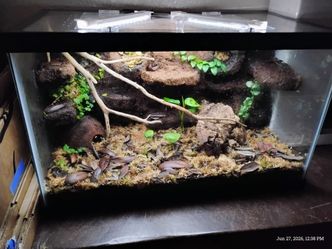 Fully bio active vivarium