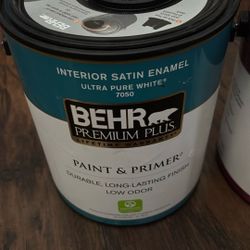 PAINT & PRIMER