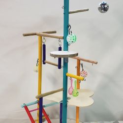 Parakeet Play Gym #14