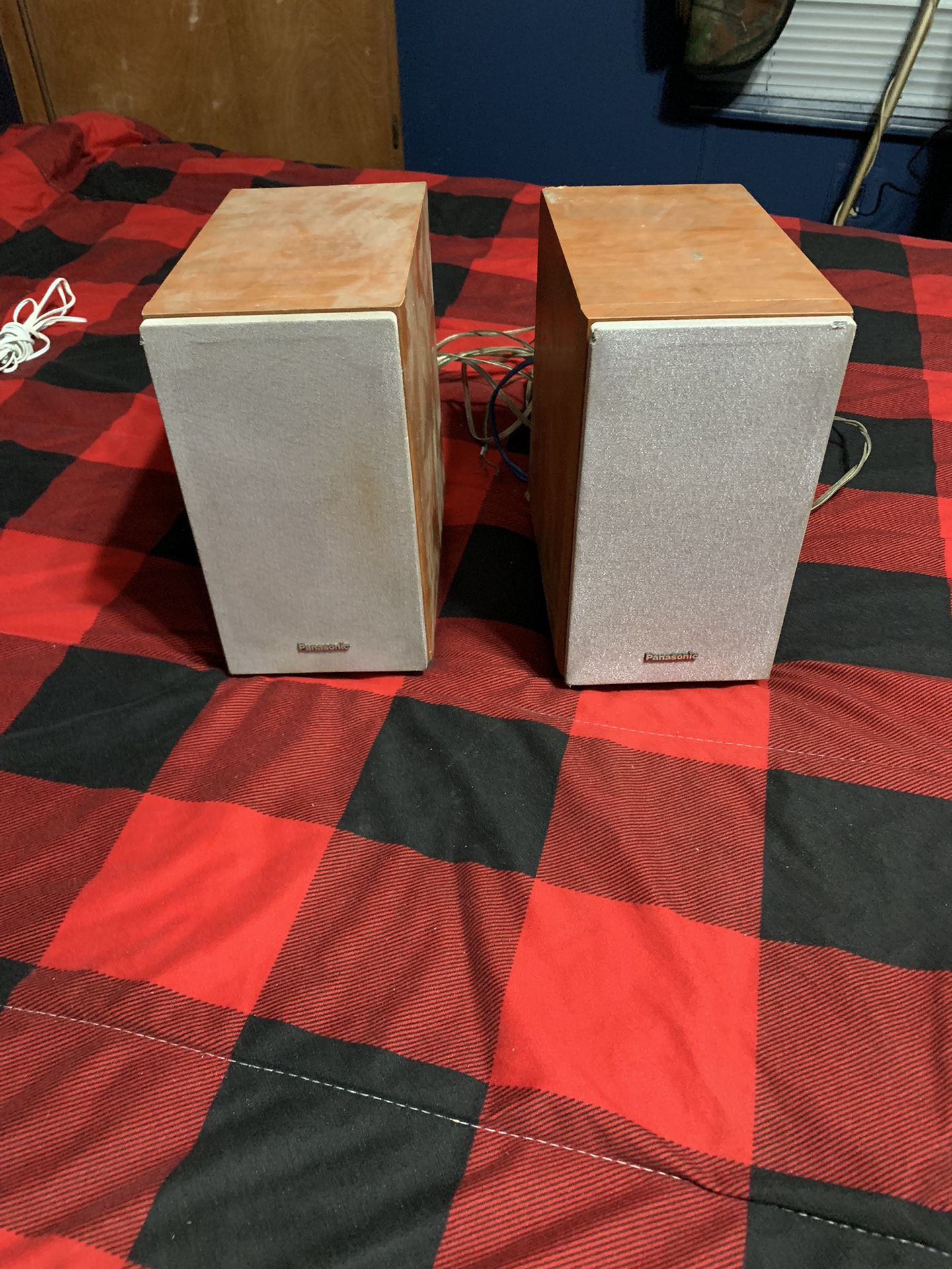 Panasonic Speakers 