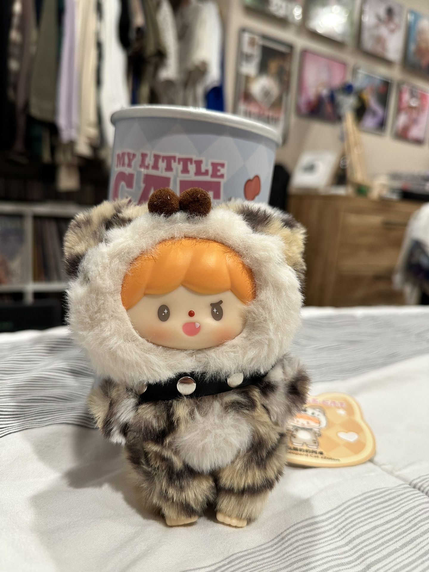 My Little Cat For Trade !