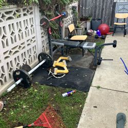 Weights And Bench