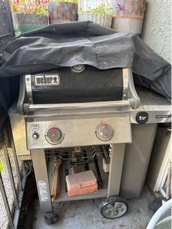 Weber Genesis II 2 burner grill