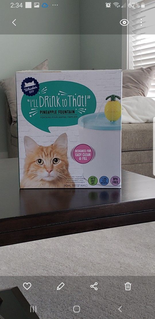Whisker City. Pineapple Cat Water Fountain