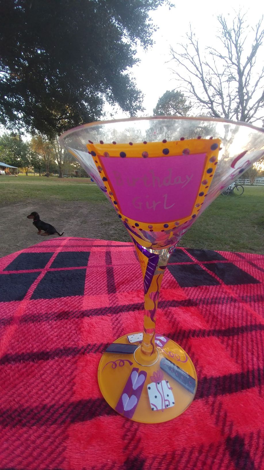 Birthday girl martini glass