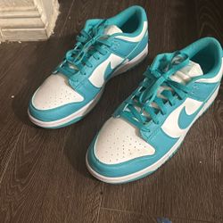 Nike Teal