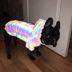 Dog Clothes for Pet Dogs Raincoat for Dog Coat Windbreaker Fashion Reflective Clothes Dog Raincoat