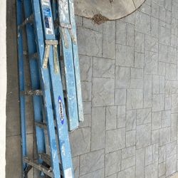 6 Foot Werner Ladder