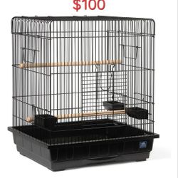 Bird Cage