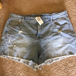 NEW Torrid Jean Shorts Size 18