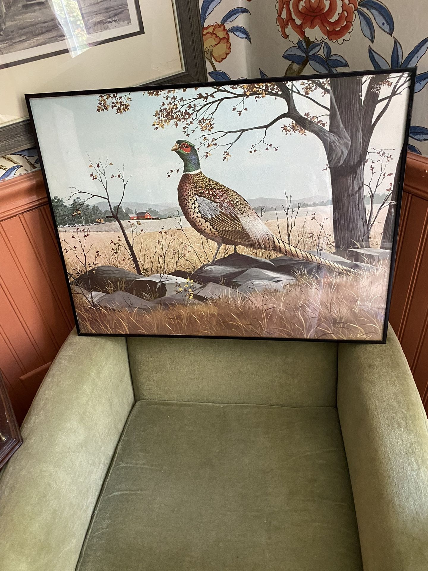 Beautiful Country Pheasant Original Print Framed Wall Art