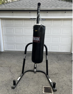 Complete Boxing / Workout Setup – $250 OBO