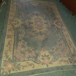 Area rug.Just cleaned and from a pet free non smoking household 
62 by 92 inches looks so much better in person
