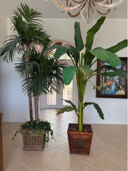 Pair of 9’faux potted palm tree and banana tree