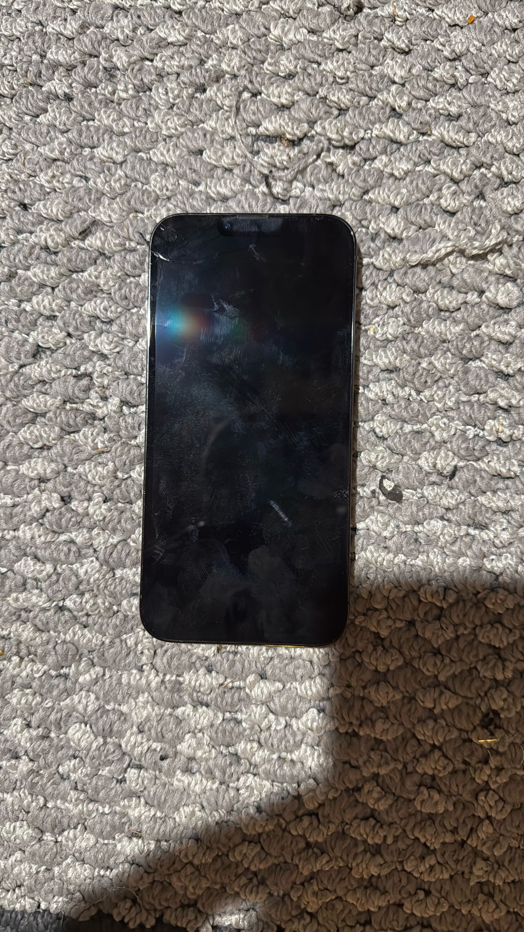 iPhone 13 Pro Max