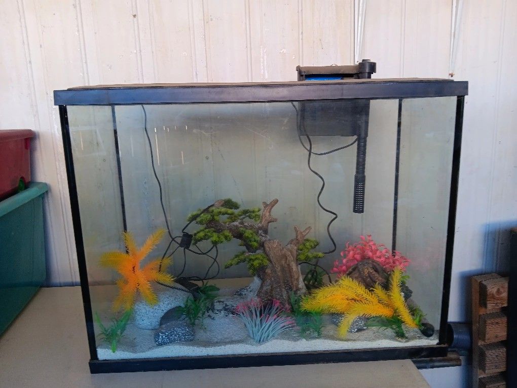 Fish Tank