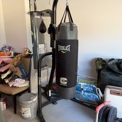 Boxing bag and speed bag