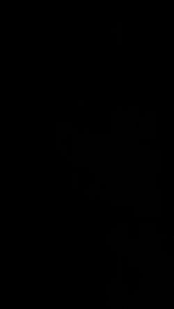 2N IP Force 2.0 Ruggedized IP Video Intercom, 1 Button, Camera, Pictograms