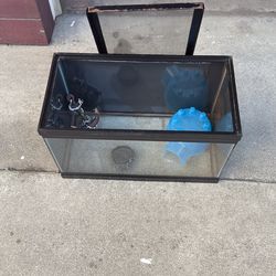 Frisk Tank 5 Gallons